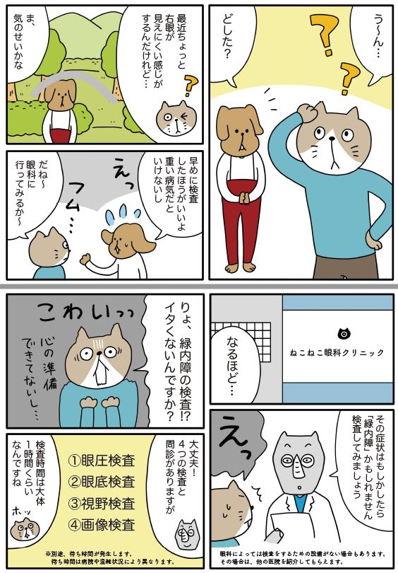 眼科検診体験マンカ?.pdf