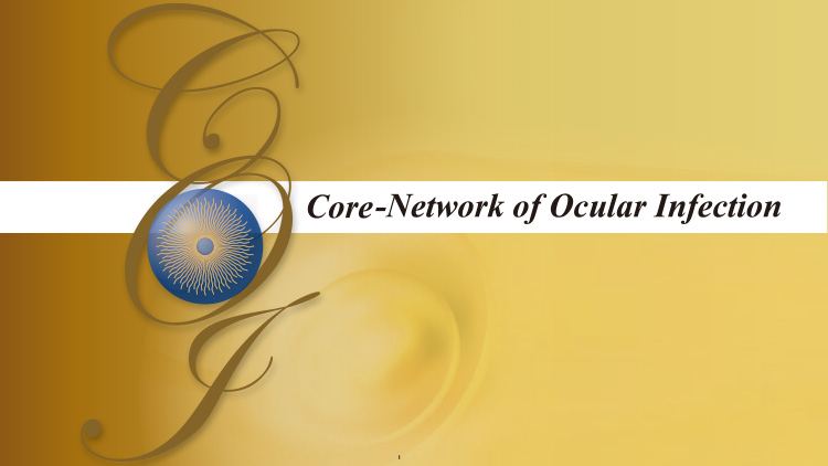 COI（Core-Network of Ocular Infection）