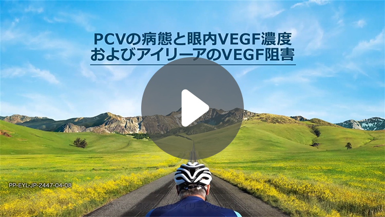 PCVの病態と眼内VEGF濃度およびアイリーアのVEGF阻害